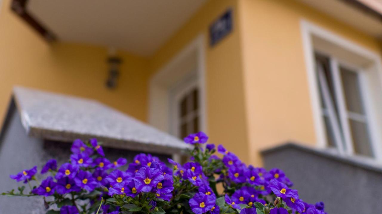 Appartement Claudia Salzburg